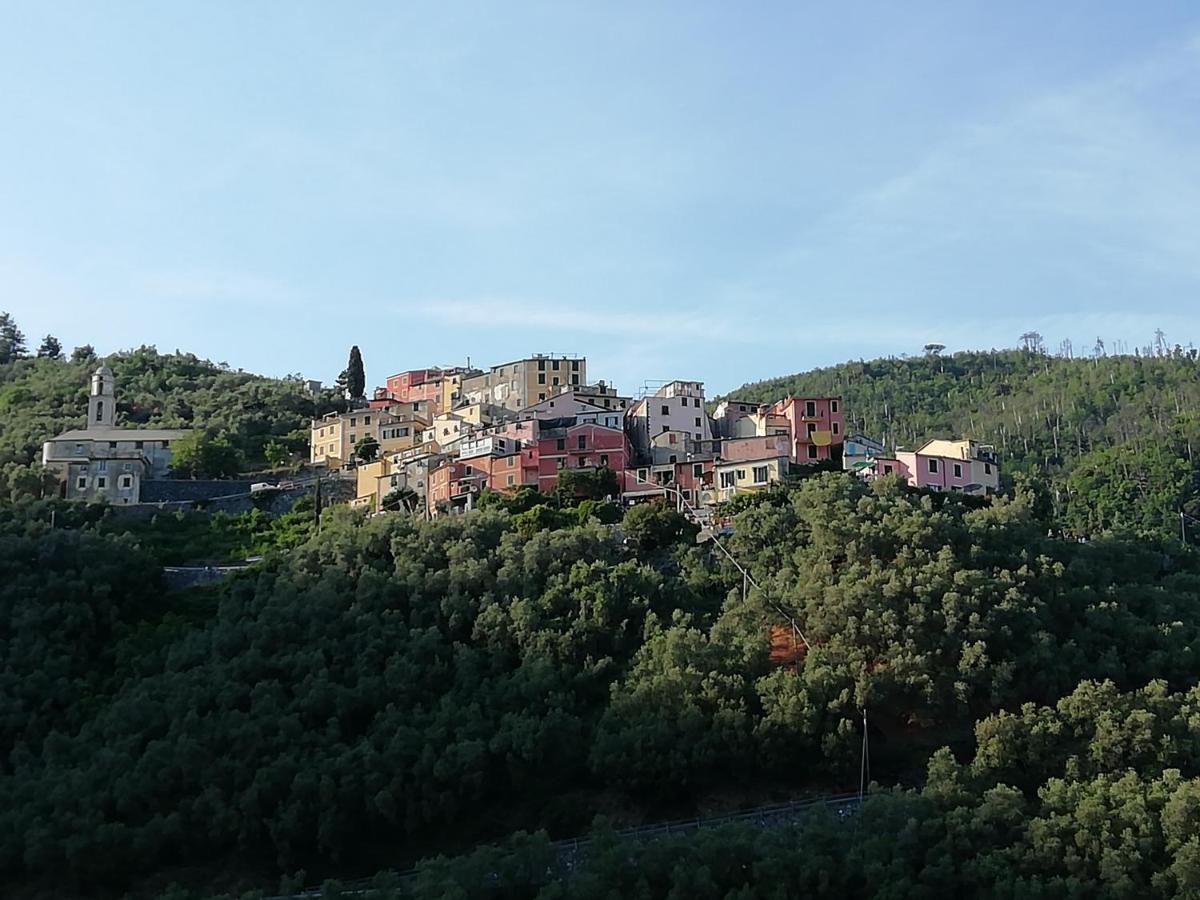 Casa Lorenzo Sulle Colline Di Levanto E Vicino Alle Cinqueterre Lt-0620 외부 사진
